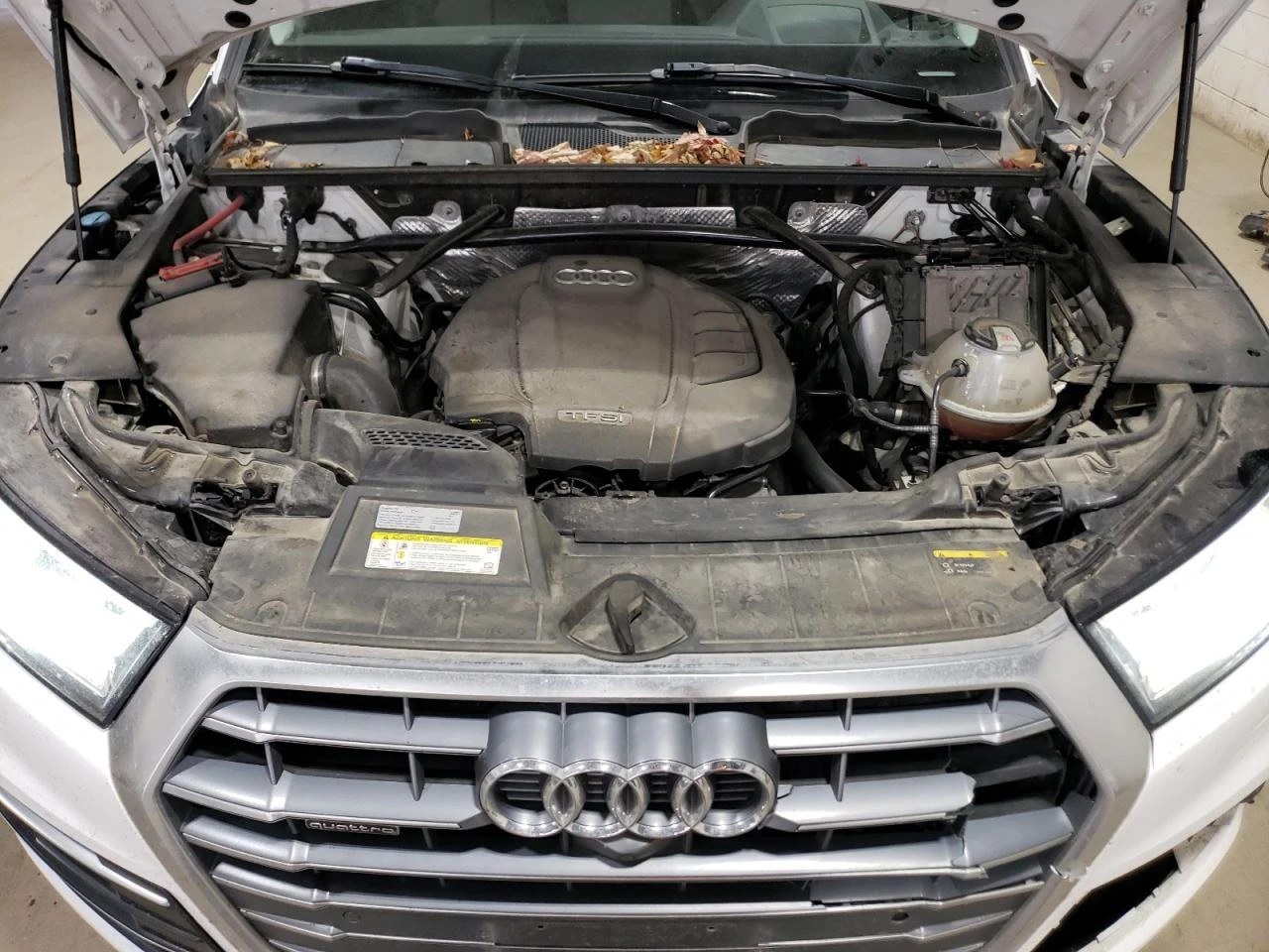 Audi Q5 PRESTIGE*  | Mobile.bg � ����������� 12