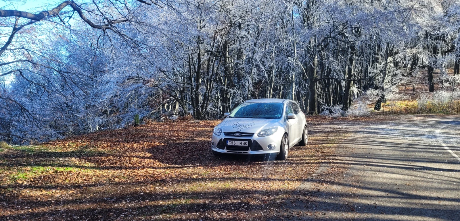 Ford Focus 1.6 Ecoboost  | Mobile.bg — изображение 3