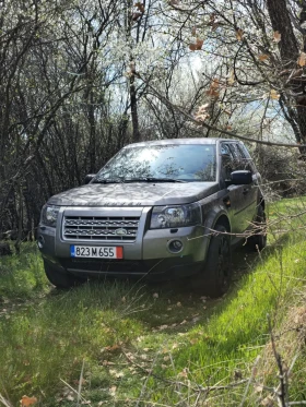 Land Rover Freelander 2.2d td4/ алкантара /r19/уникат, снимка 3