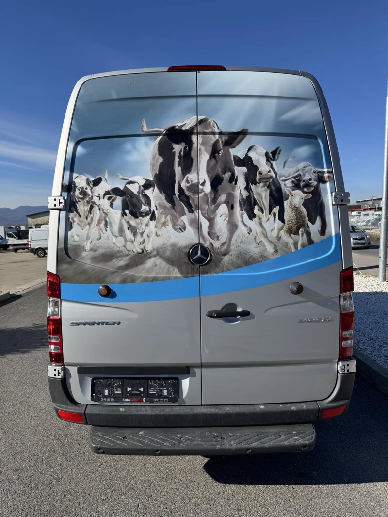 Mercedes-Benz Sprinter 313 CDI/Гаранция, снимка 4 - Бусове и автобуси - 48040411