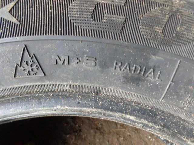 Гуми Зимни 195/65R16, снимка 11 - Гуми и джанти - 20255092