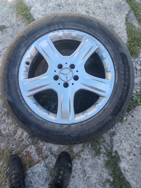    255/55R19  Mercedes-Benz | Mobile.bg    2