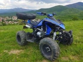 Bashan BS 250, снимка 1