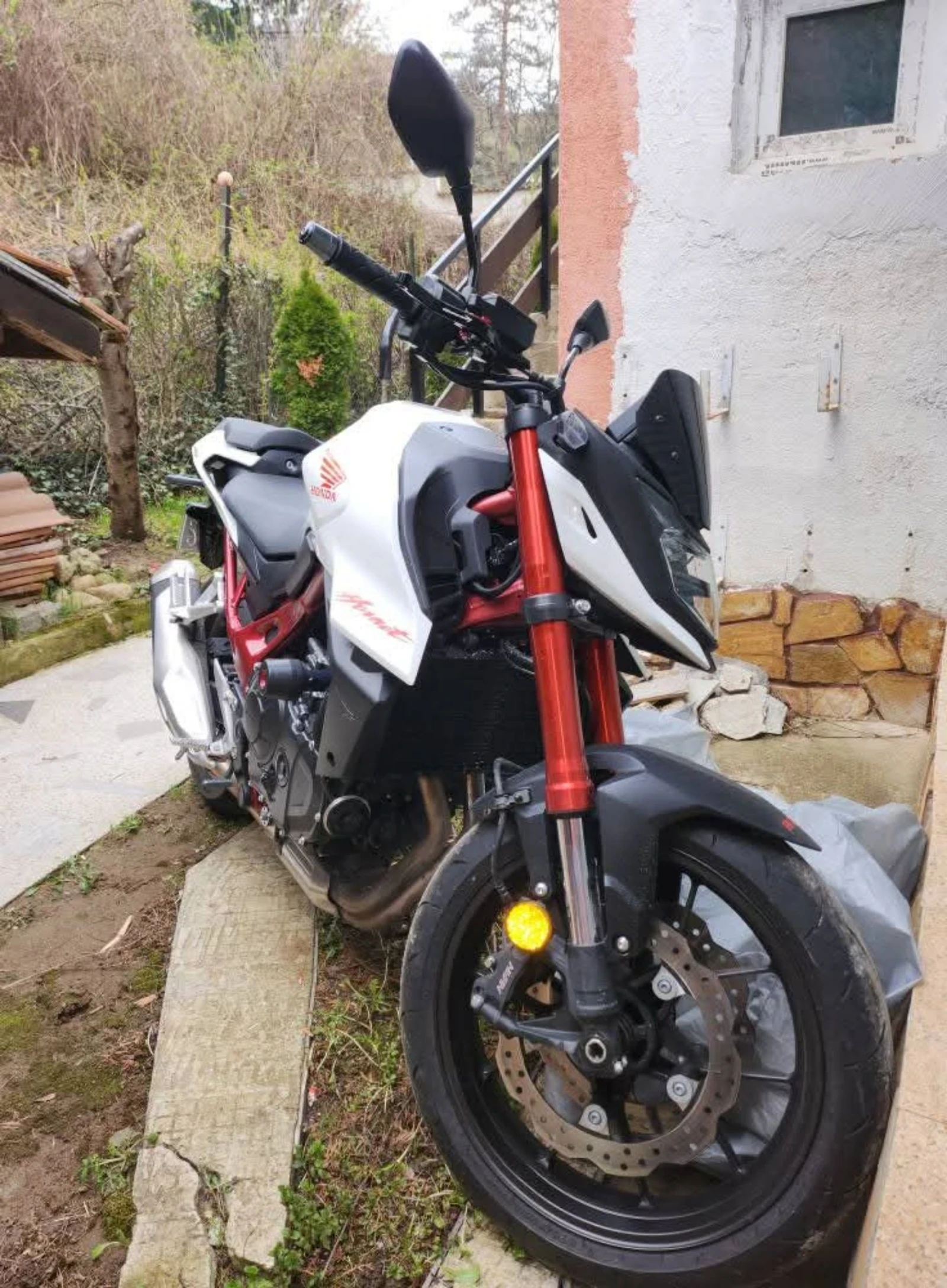 Honda Hornet