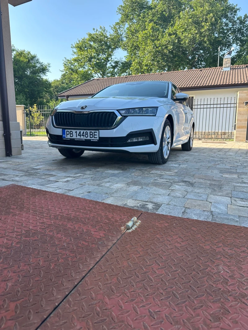 Skoda Octavia TDI, снимка 3 - Автомобили и джипове - 52586310