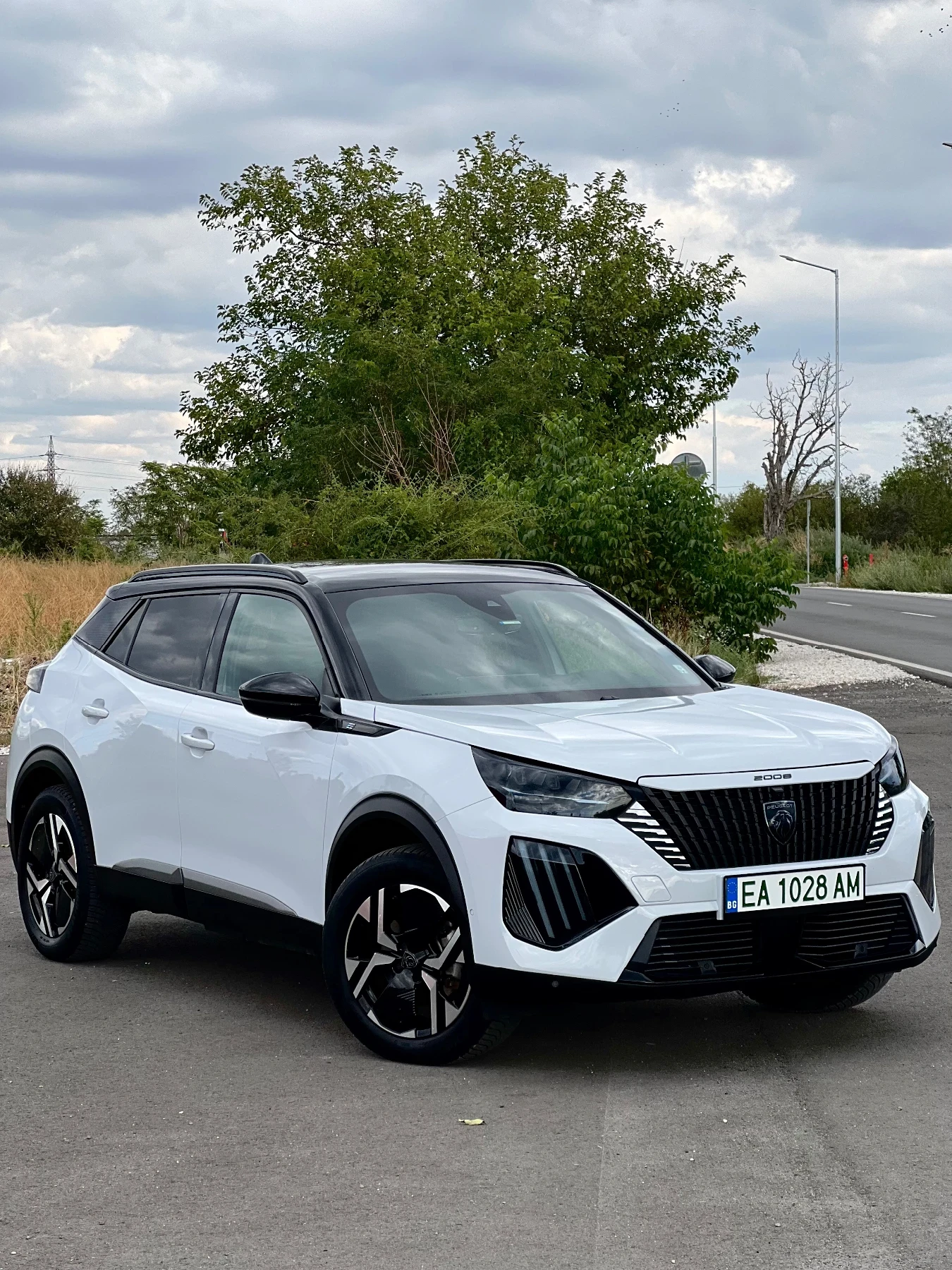 Peugeot 2008 GT 54KW 