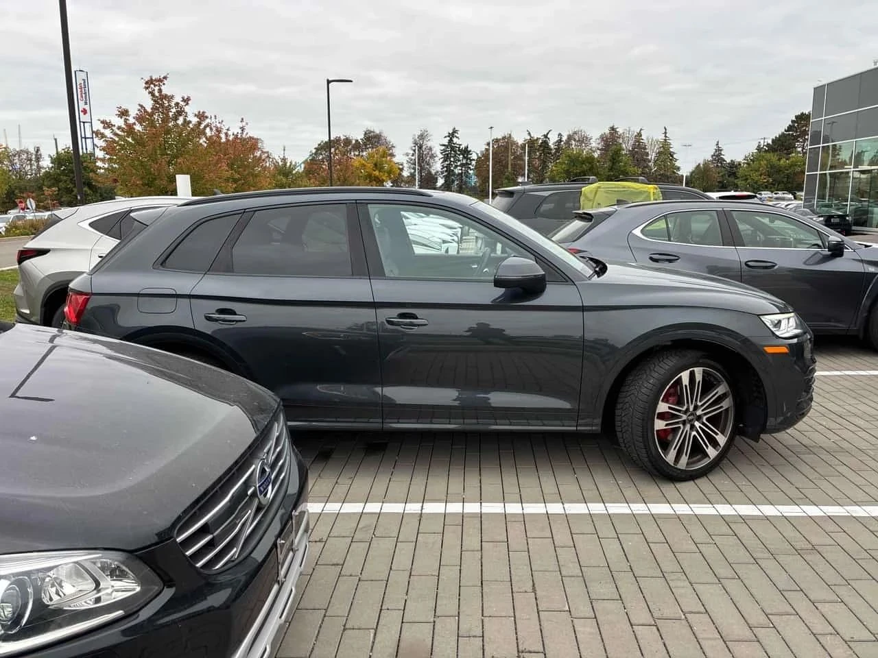 Audi SQ5, снимка 4 - Автомобили и джипове - 56689123