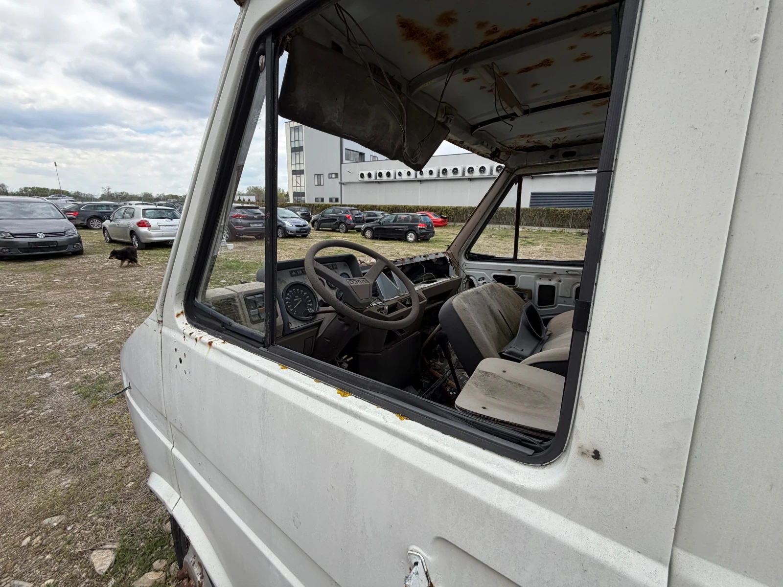 Iveco Daily Самосвал, снимка 6 - Бусове и автобуси - 54186782