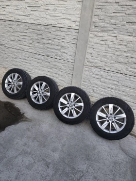 ������ ���� � ������