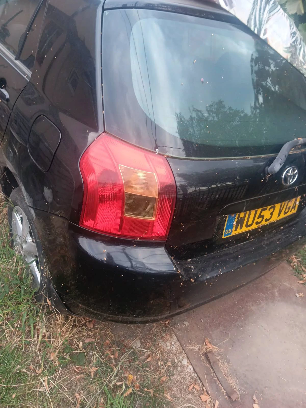 Toyota Corolla  - изображение 2