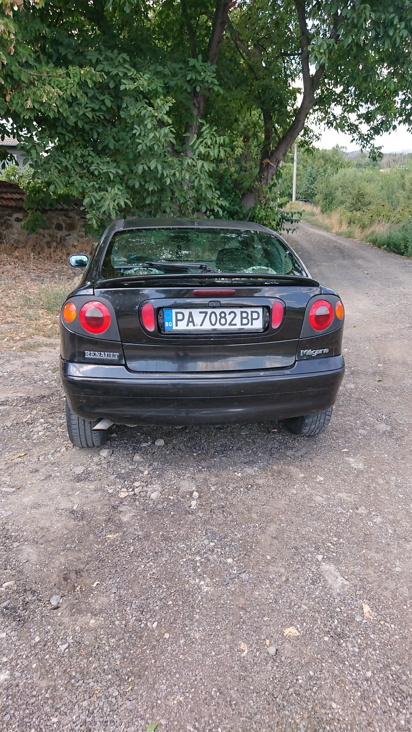 Renault Megane Coach-Monte Karlo, снимка 5 - Автомобили и джипове - 55890163
