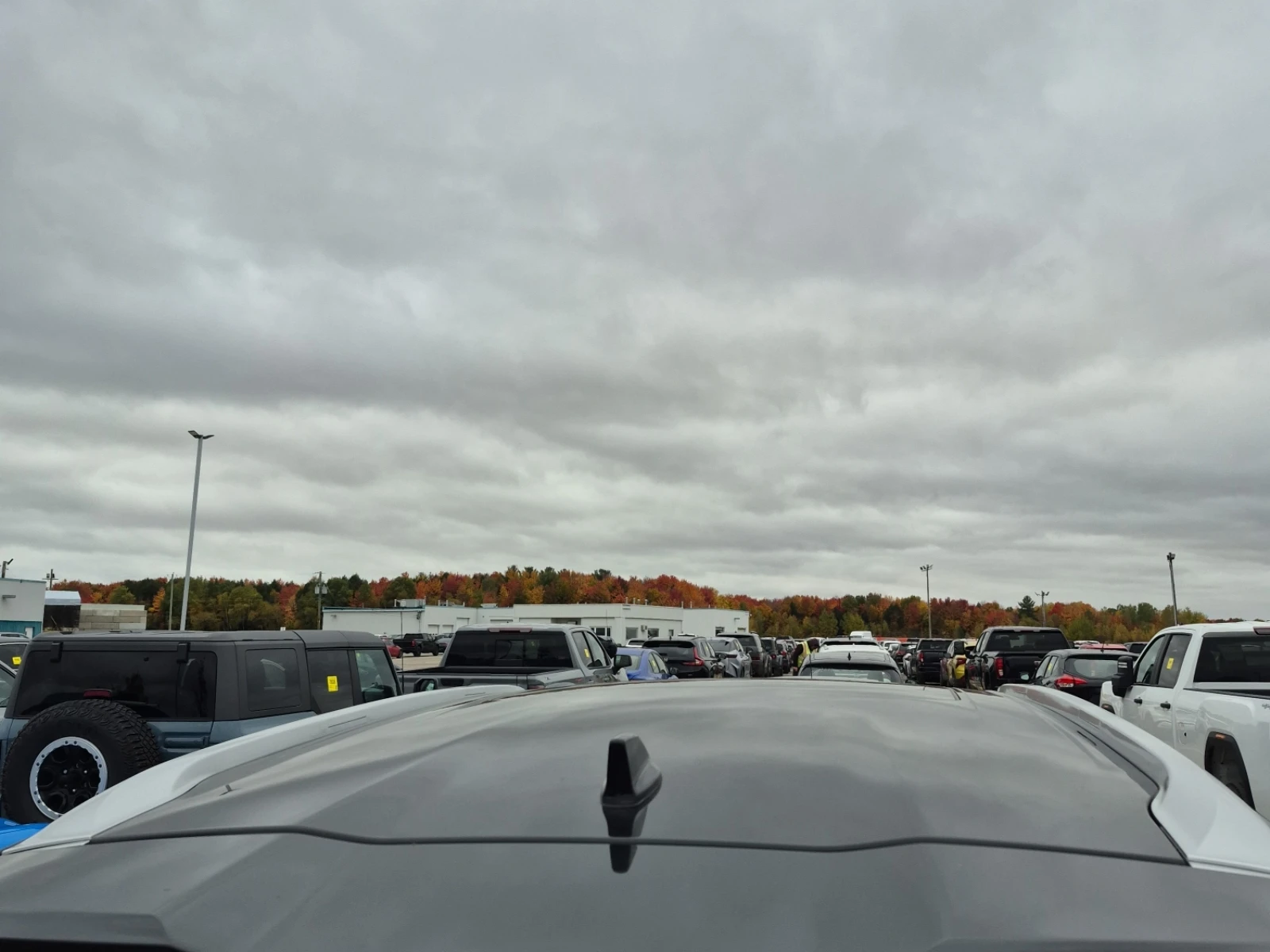 Infiniti QX60 SENSORY* KOJA* 7 MESTA* PANO*  | Mobile.bg � ����������� 7