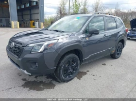 ������ Subaru Forester