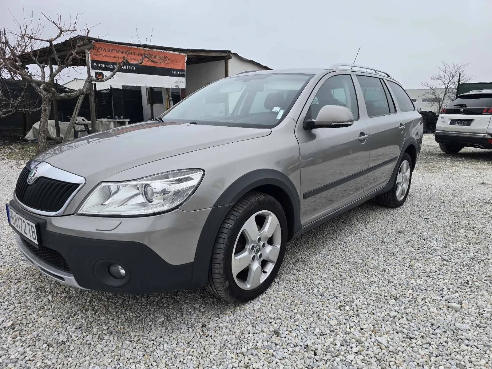 Skoda Octavia Scout  | Mobile.bg   16