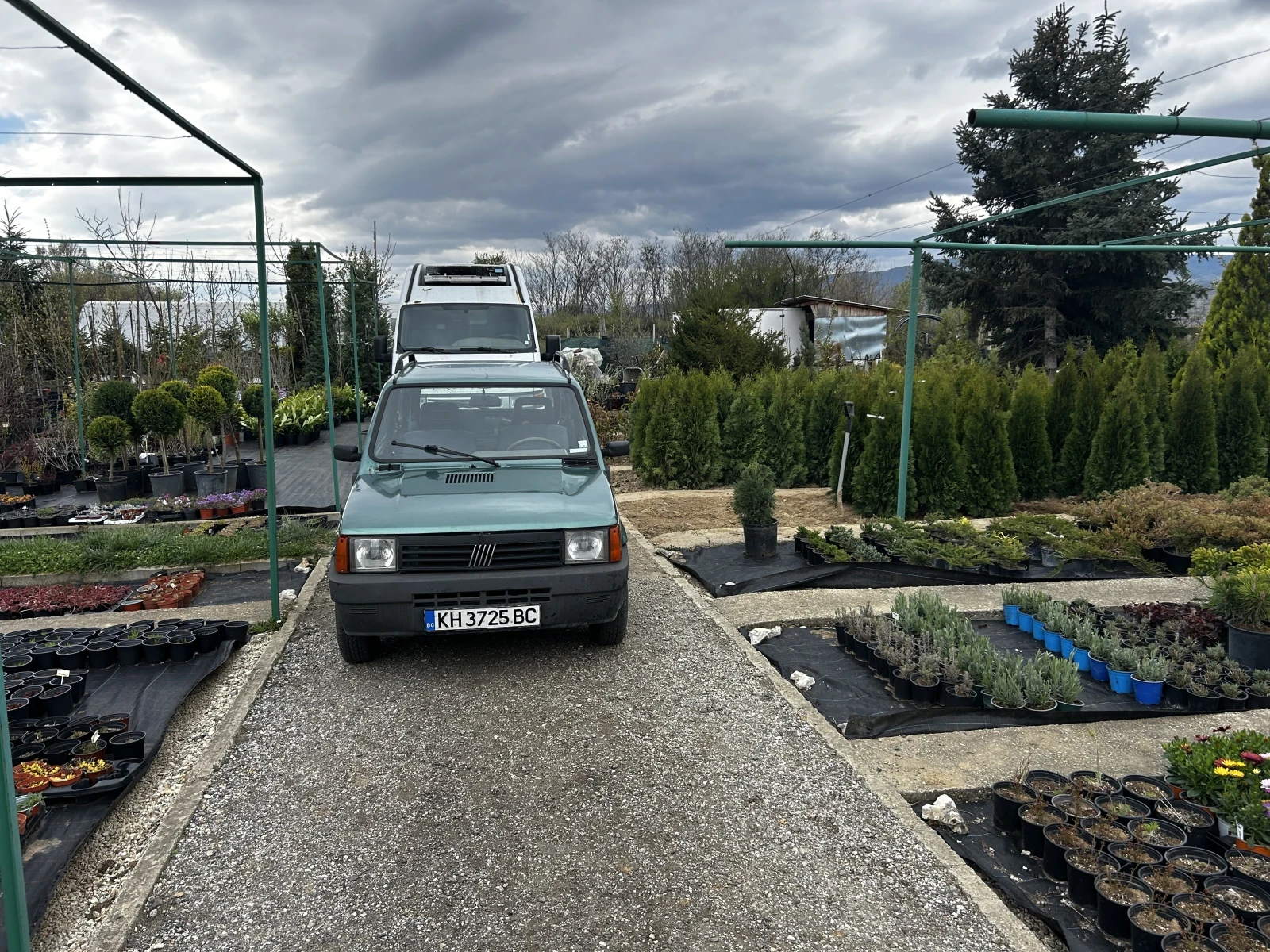 Fiat Panda Hobby - изображение 7