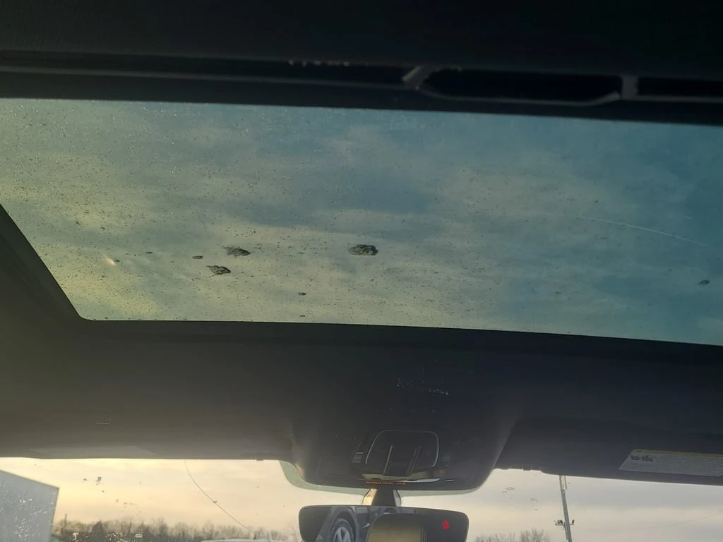 Audi S4 * PROGRESSIV * CARFAX * ��� ������������ ������ | Mobile.bg � ����������� 12