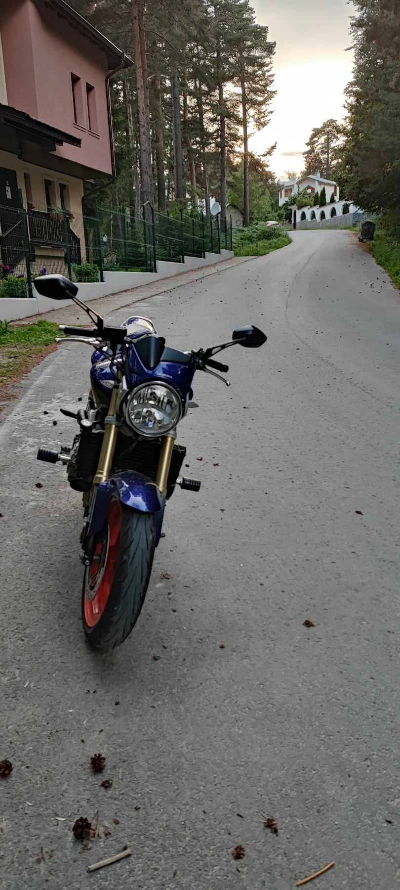 Honda Hornet  - изображение 2