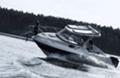 Лодка Собствено производство PEGAZUS 600 Suntop - изображение 5