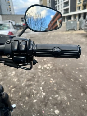 Harley-Davidson Sportster XL1200C, снимка 11