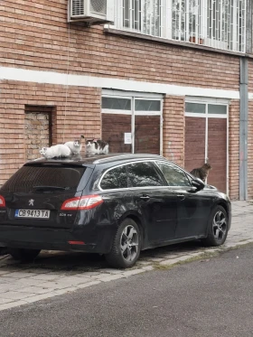 Peugeot 508 SW - 6600 € / 12908.48 лв. - 16863168 3