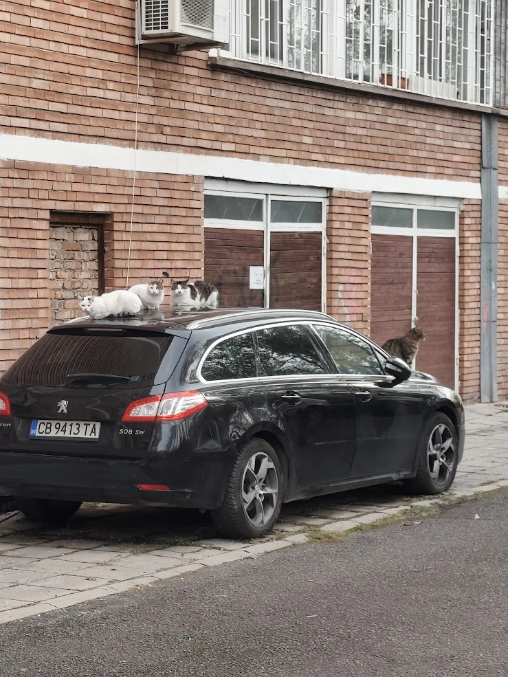 Peugeot 508 SW, снимка 3 - Автомобили и джипове - 53113526