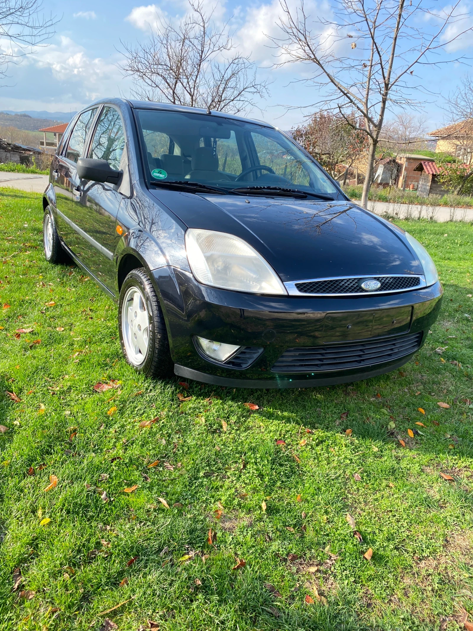 Ford Fiesta 1.4 (chia) | Mobile.bg   1