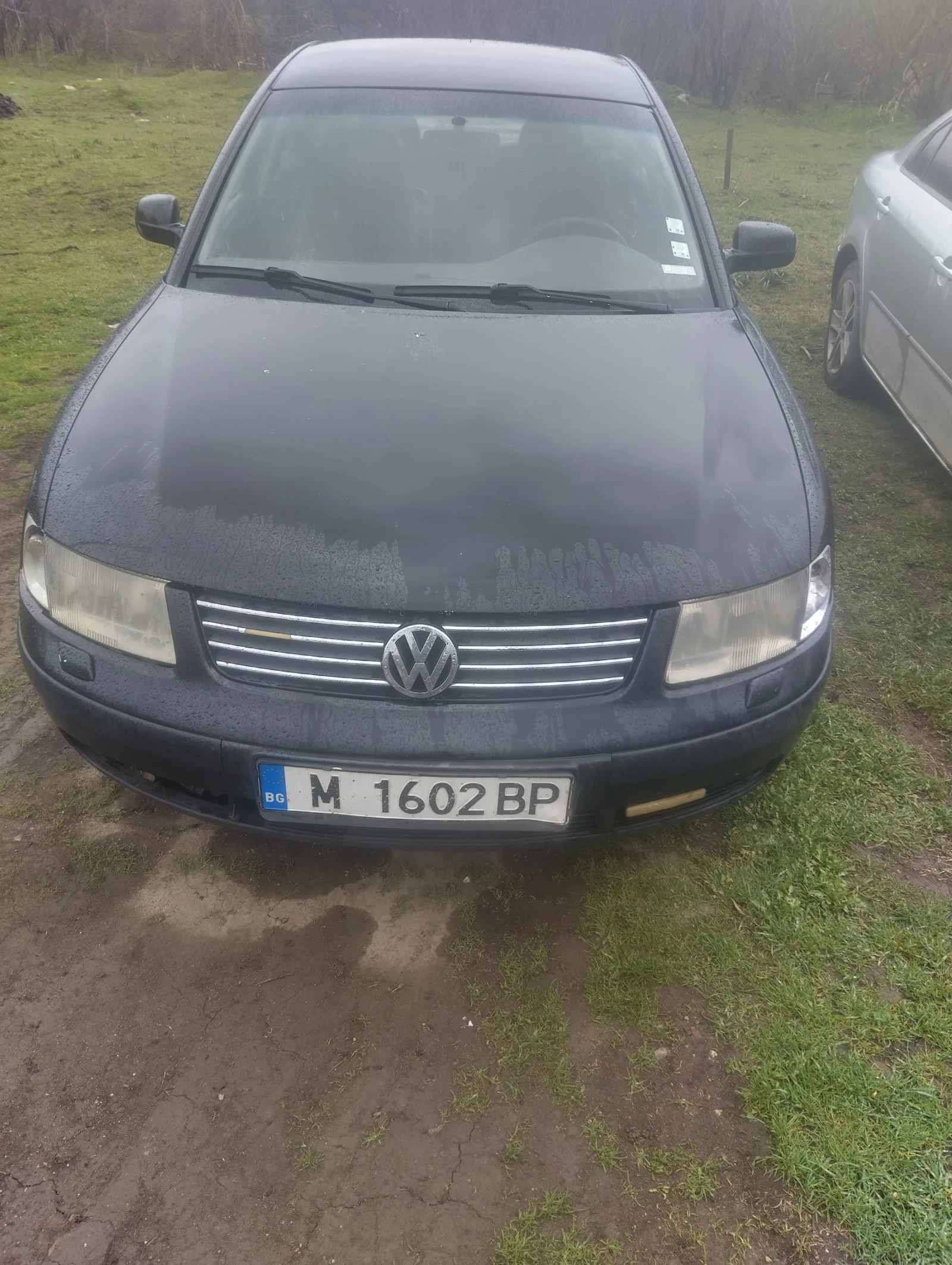 VW Passat