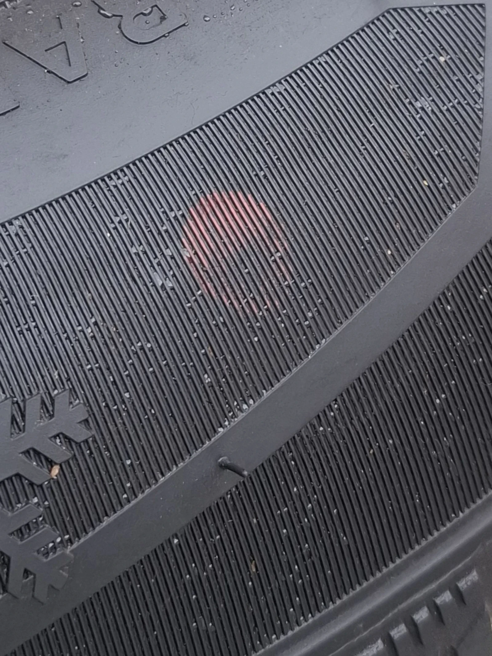 ���� 205/60R16 | Mobile.bg � ����������� 10