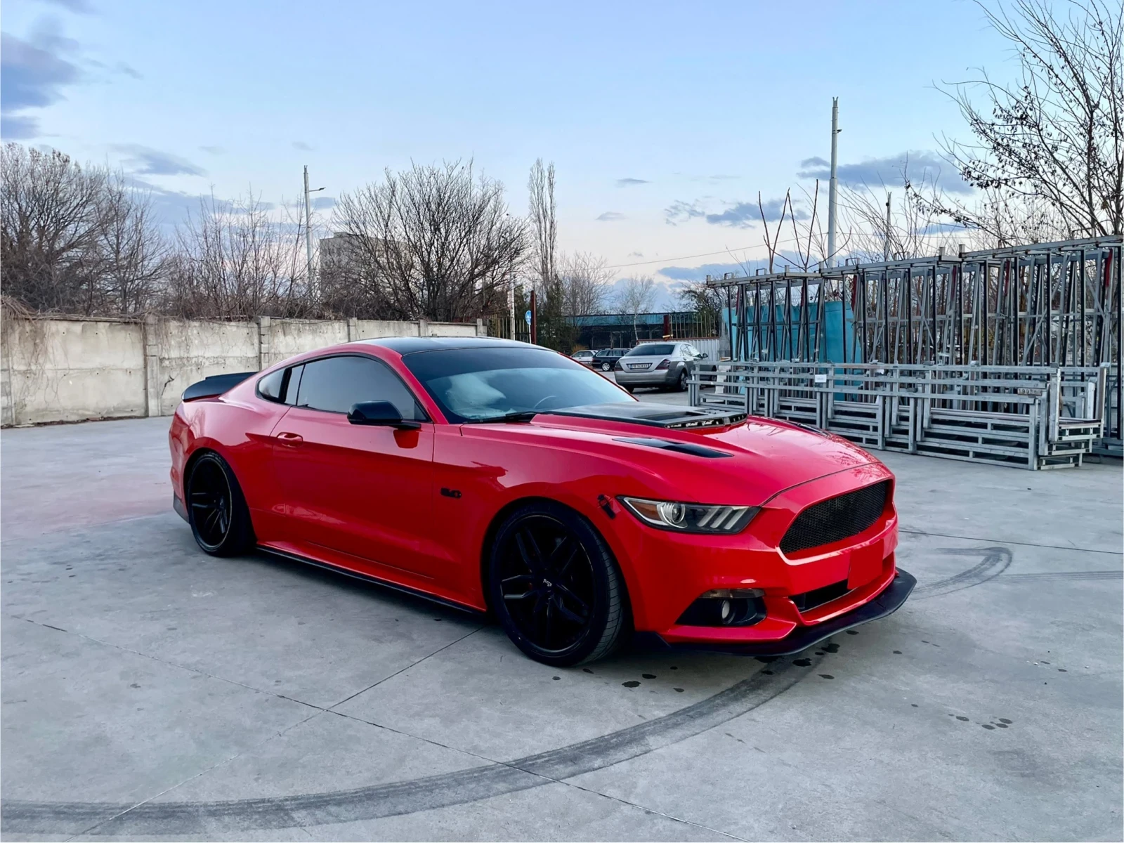 Ford Mustang 5.0 50th Anniversary  - изображение 2