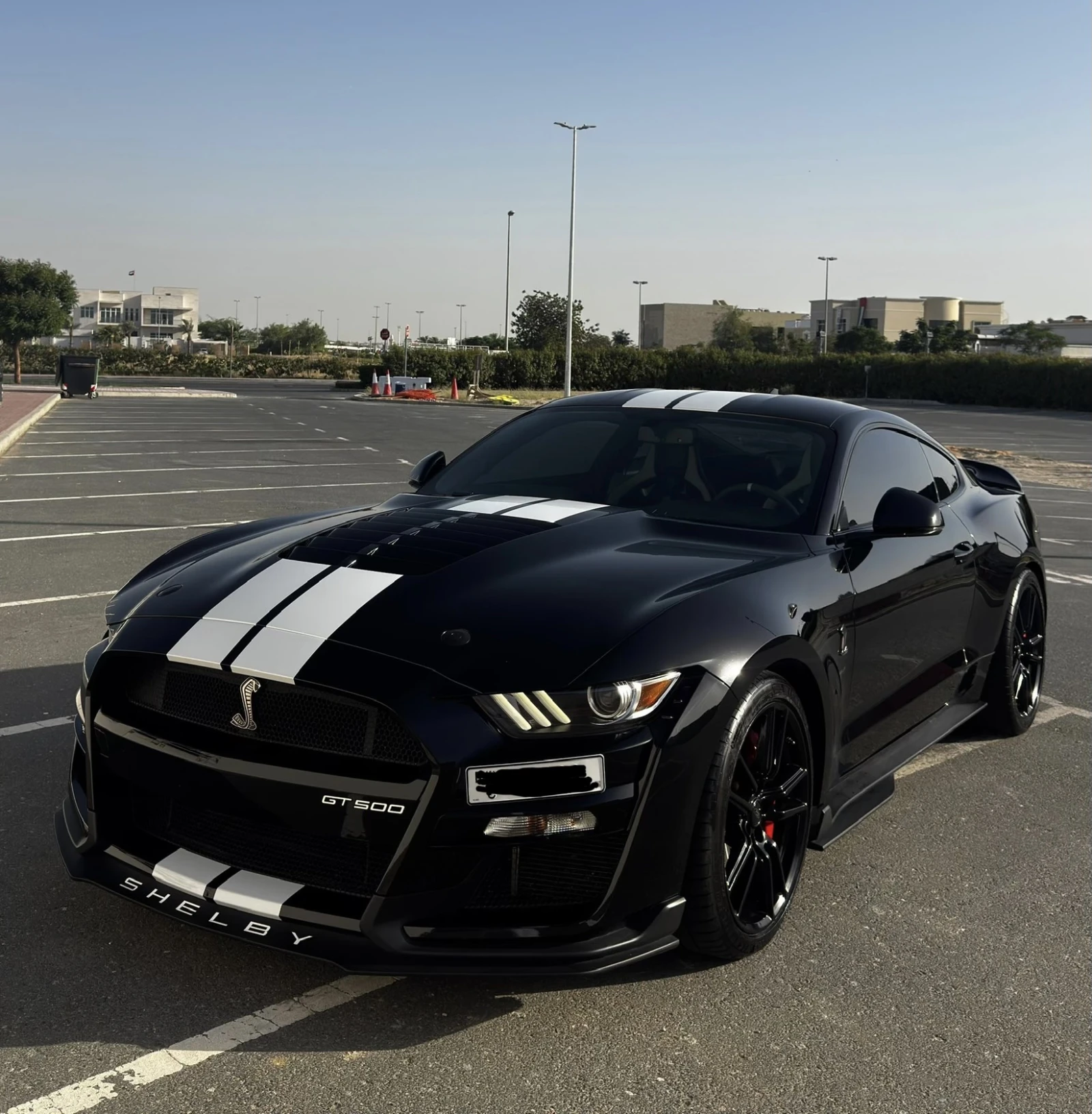 Ford Mustang Shelby GT500