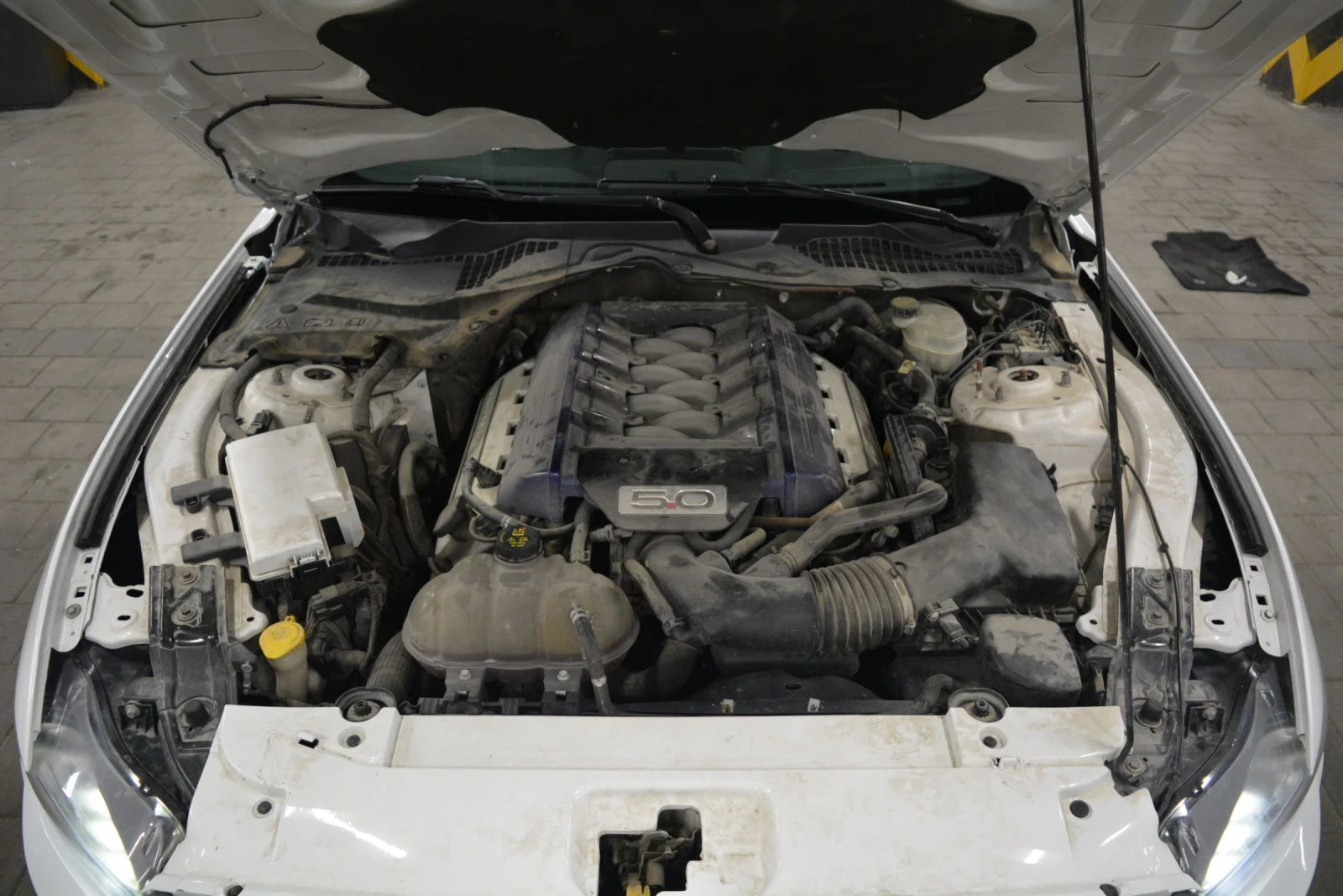 Ford Mustang 5.0 ShelbyPack | Mobile.bg � ����������� 12