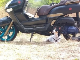 Yamaha Versity, снимка 2