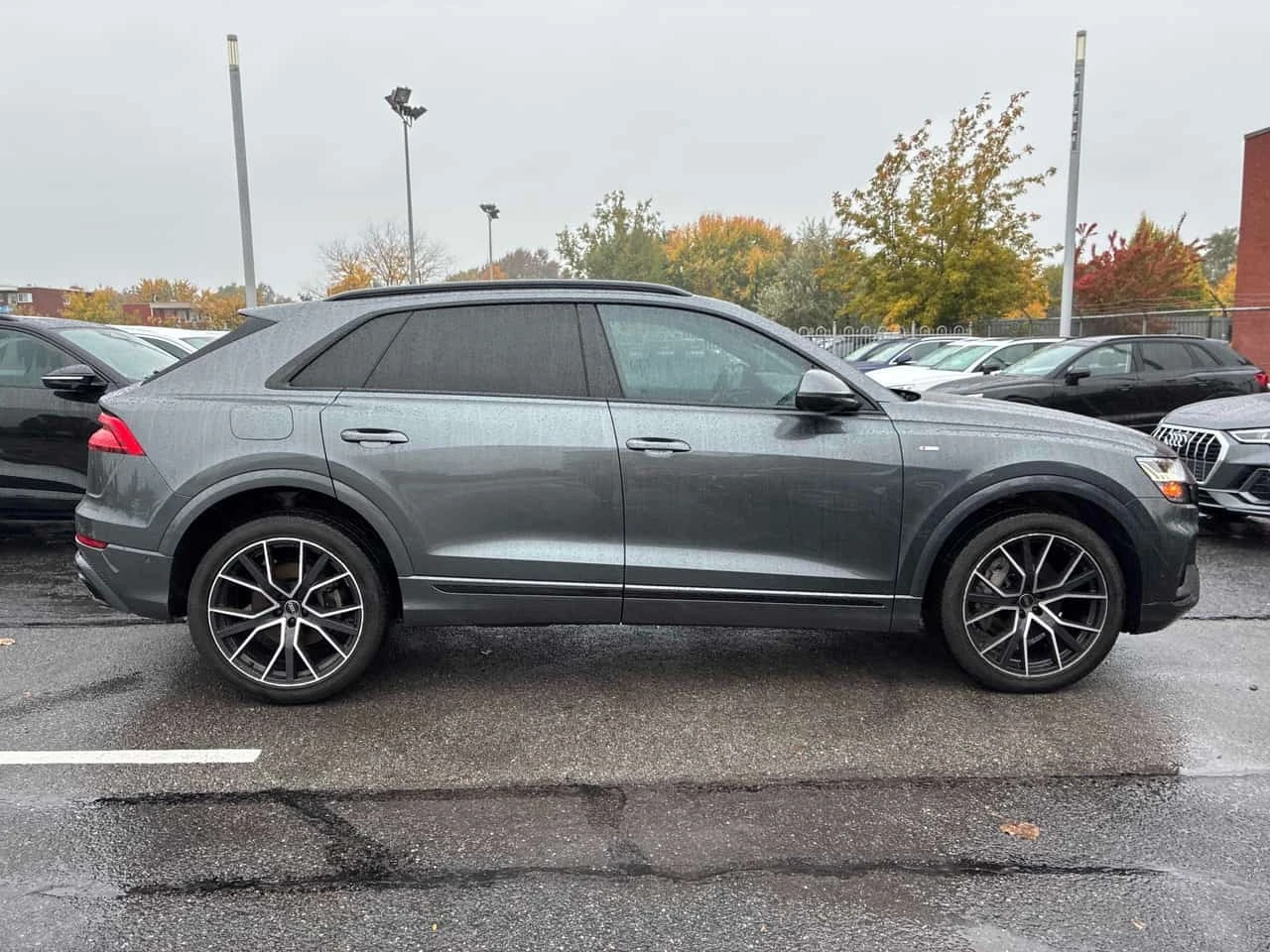 Audi Q8 * Progressiv * CARFAX * ������ ���������������� *  | Mobile.bg � ����������� 4