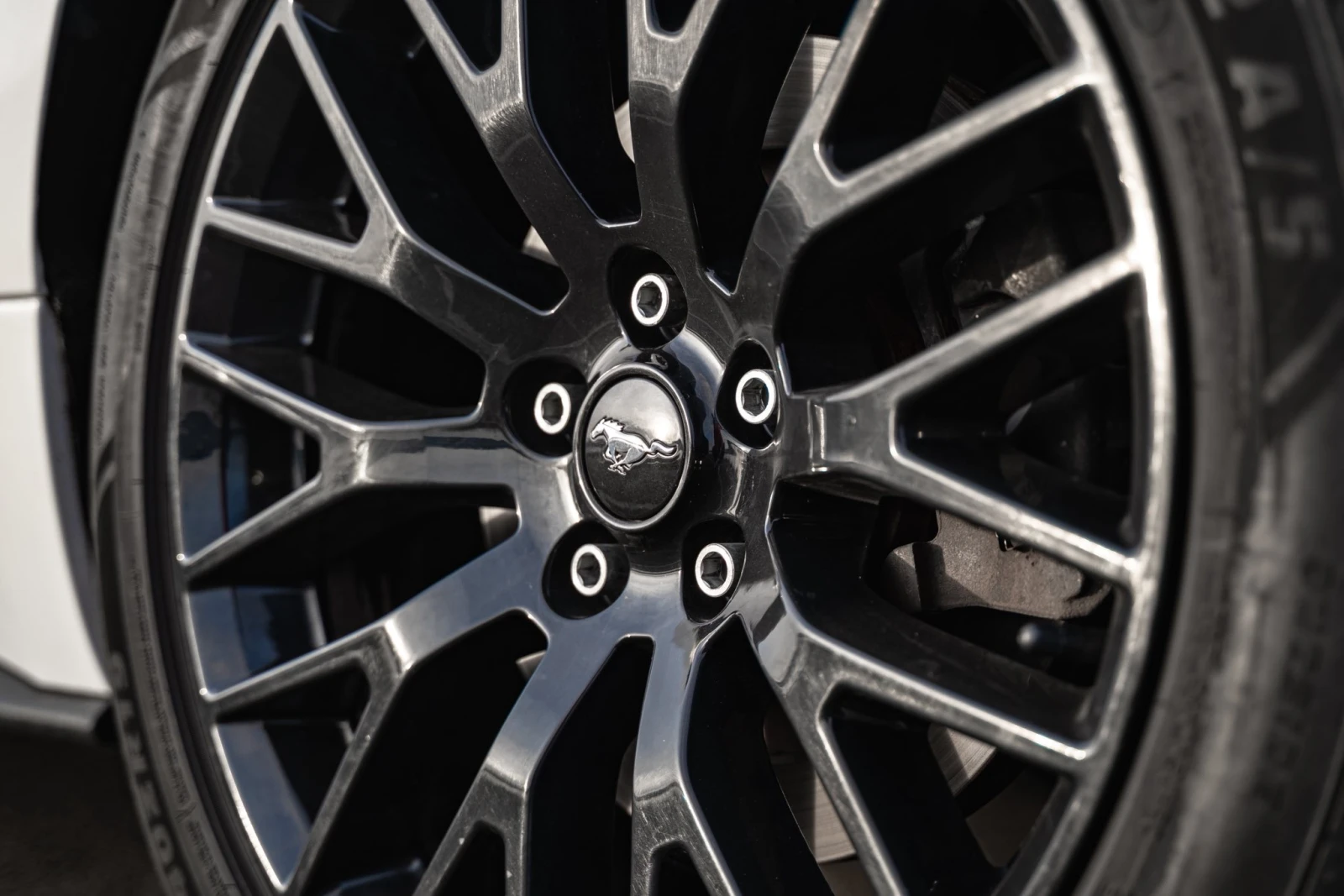 Ford Mustang 5.0 GT Perf. Pack. + +  - изображение 9