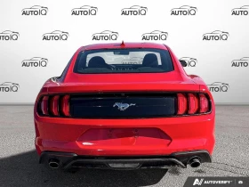 Ford Mustang EcoBoost Coupe RWD, снимка 7