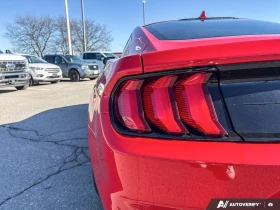 Ford Mustang EcoBoost Coupe RWD, снимка 8