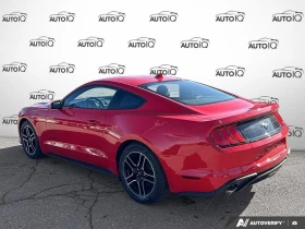Ford Mustang EcoBoost Coupe RWD | Auto.bg — изображение 5