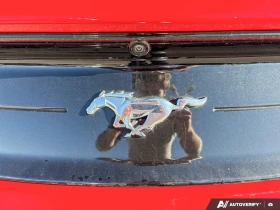 Ford Mustang EcoBoost Coupe RWD | Auto.bg — изображение 9
