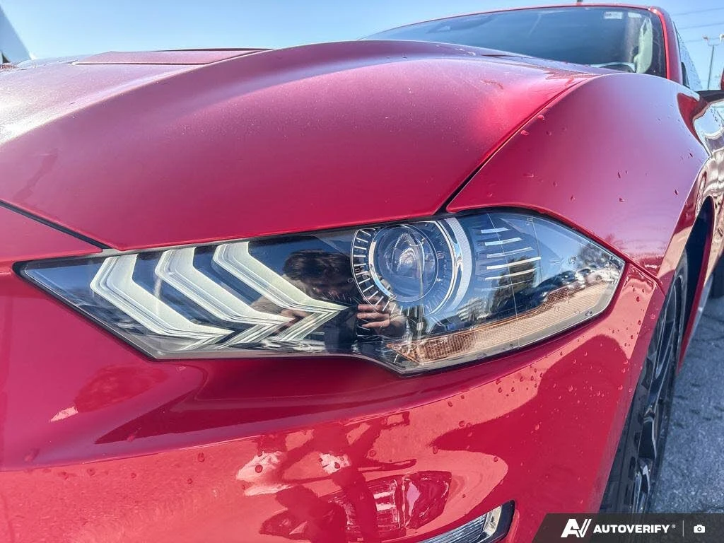 Ford Mustang EcoBoost Coupe RWD, снимка 3 - Автомобили и джипове - 54267672