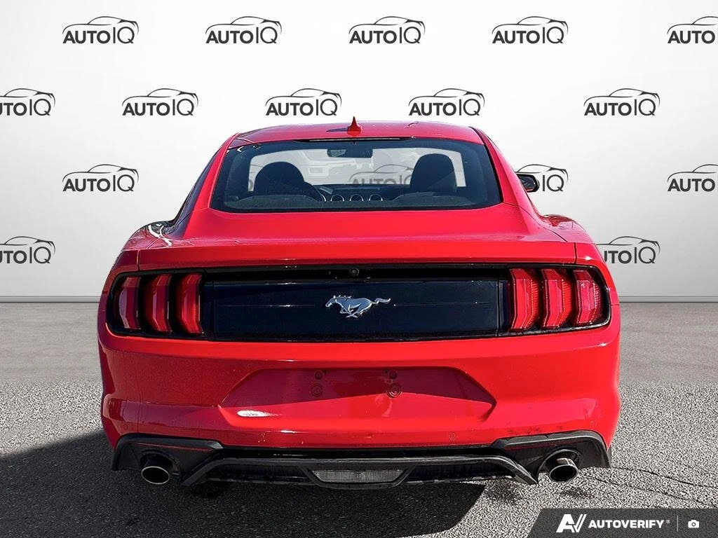 Ford Mustang EcoBoost Coupe RWD, снимка 7 - Автомобили и джипове - 54267672
