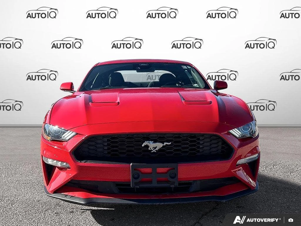 Ford Mustang EcoBoost Coupe RWD, снимка 2 - Автомобили и джипове - 54267672