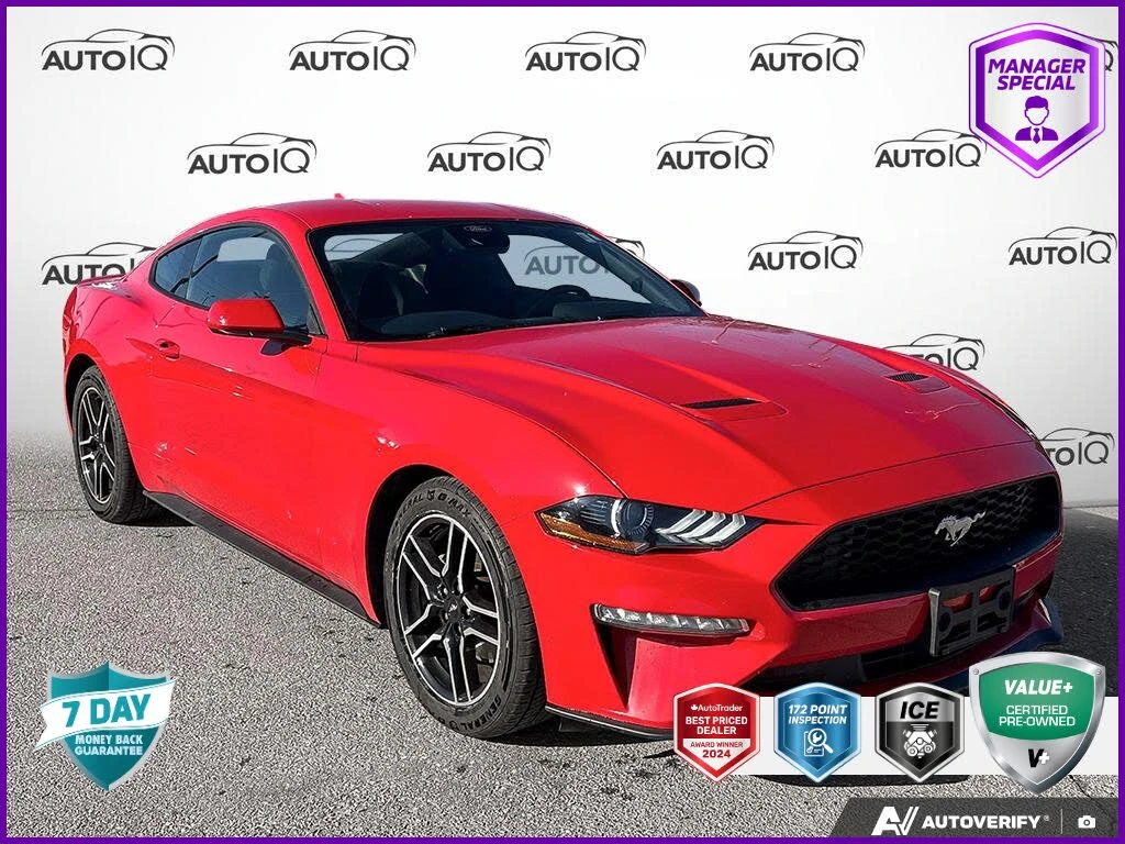 Ford Mustang EcoBoost Coupe RWD