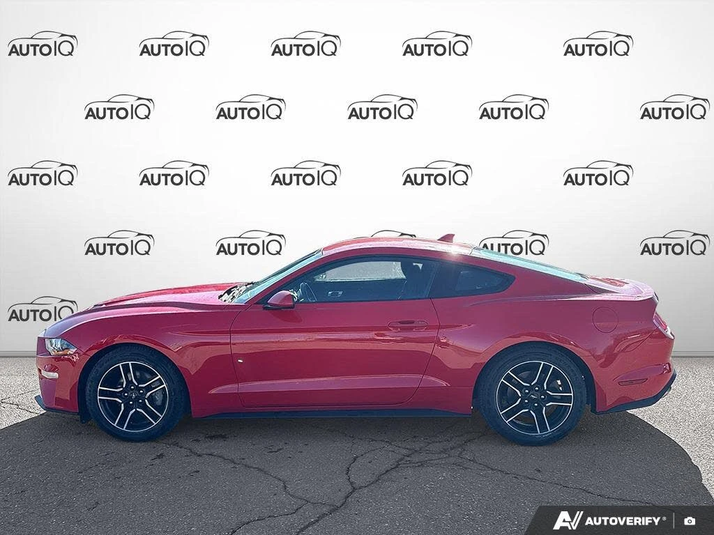 Ford Mustang EcoBoost Coupe RWD, снимка 4 - Автомобили и джипове - 54267672