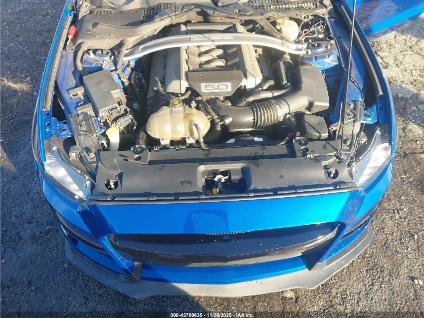 Ford Mustang GT PREMIUM / CALIFORNIA SPECIAL / GT500 - изображение 10