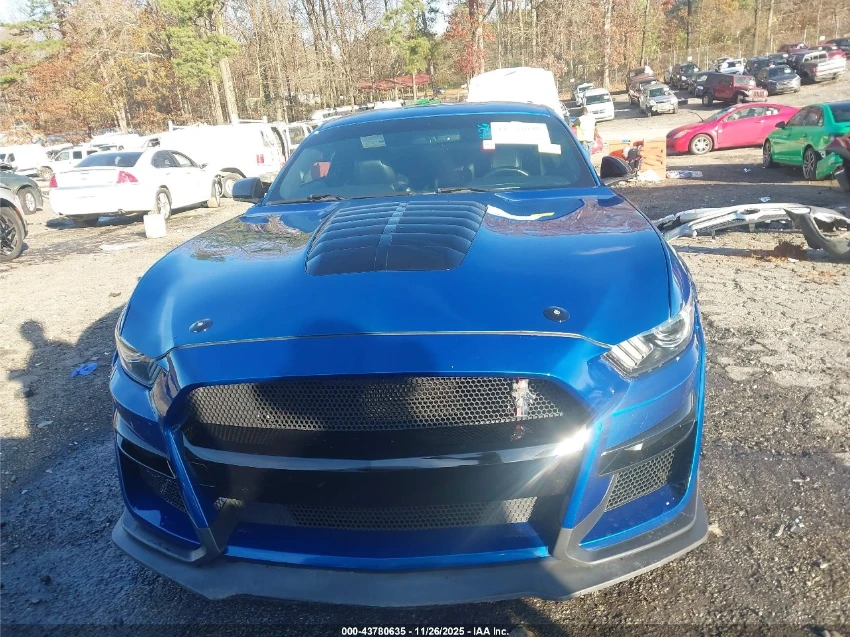 Ford Mustang GT PREMIUM / CALIFORNIA SPECIAL / GT500 - изображение 2