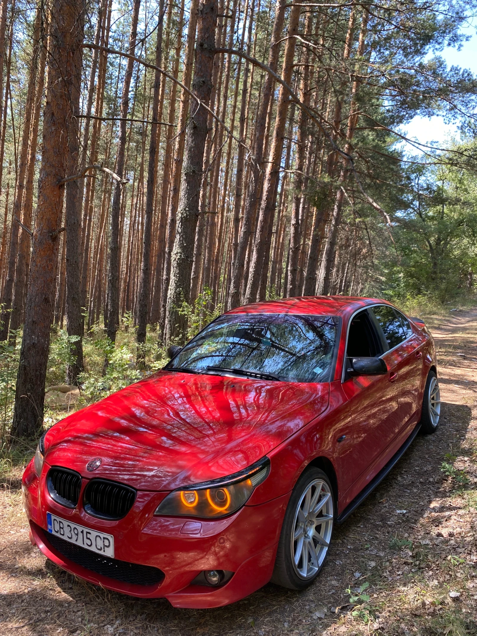 BMW 530, снимка 11 - Автомобили и джипове - 55961439