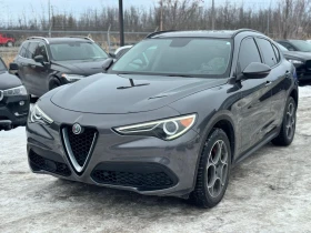 Alfa Romeo Stelvio - 18000 € / 35204.94 лв. - 23344639 2