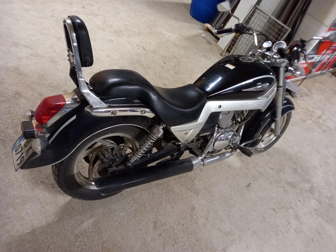 Jinlun JL 250  - изображение 4