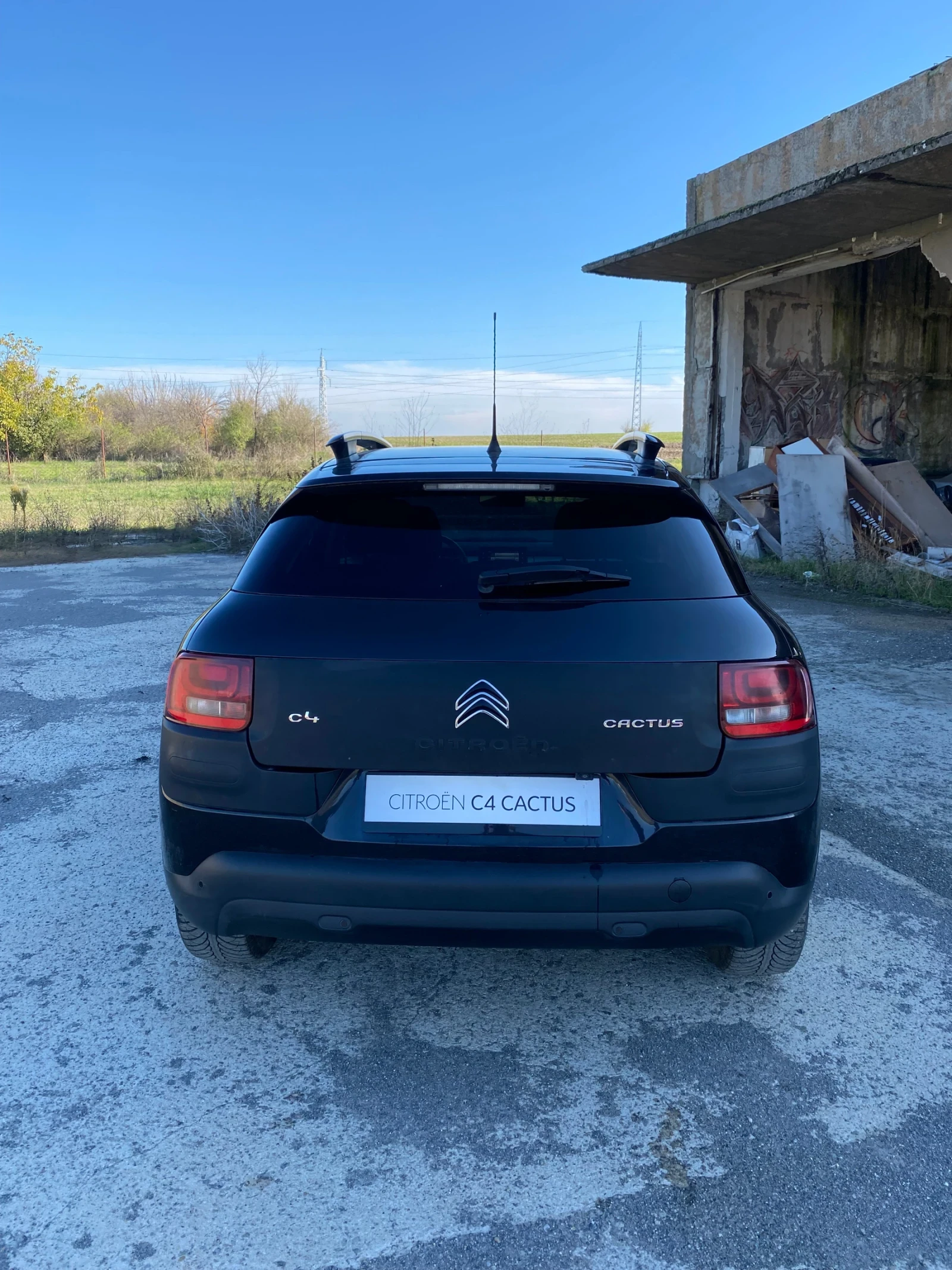 Citroen C4 Cactus  - изображение 4