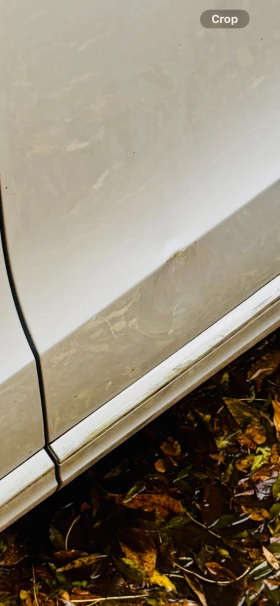 Audi Q5 2.0 - 12000 € / 23469.96 лв. - 81346254 17